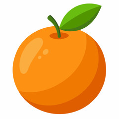 orange fruit vector illustration