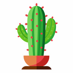 cactus in a pot