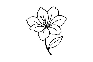 vector silhouette of an Azalea flower.