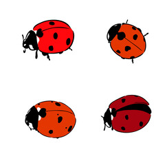 Cute ladybug cartoon character outline © Elala 9161