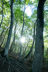 霊仙山のカルスト地形