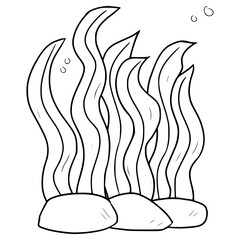 seaweed illustration hand drawn outline vector