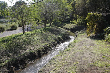 道沿いの小川