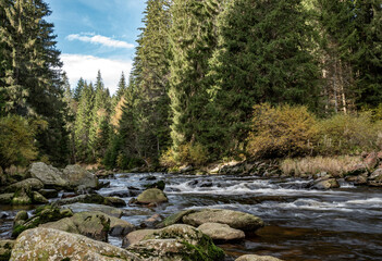 Vydra river in the kasper mountains during the autumn season