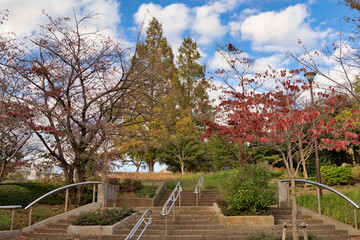 紅葉のある公園