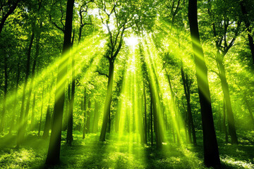 Fototapeta premium Captivating sunlight pierces through the lush canopy of a vibrant green forest, creating a magical atmosphere that invites exploration and connection with nature's beauty.