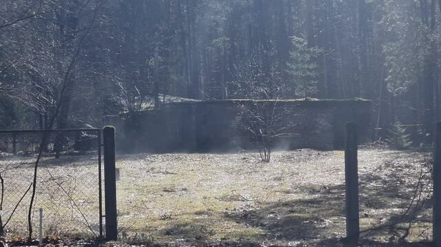 Morning fog in the meadow, steaming water.