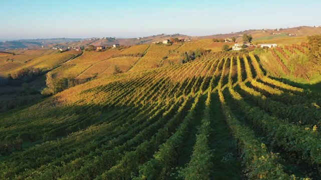 Monferrato, hills and vineyards along Monferrato, Piemonte, Italy
