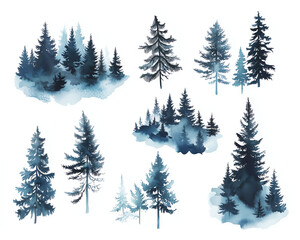 Watercolor illustrations of various evergreen trees surrounded by foggy background in various compositions on white background