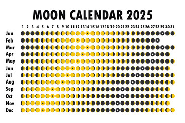 2025 Moon calendar. Astrological calendar design. planner. Place for stickers. Month cycle planner mockup. Isolated black and white background