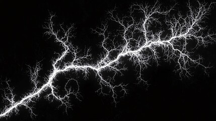 A stunning display of lightning branching across a stark black background, showcasing nature's powerful energy and beauty in an electrifying manner.
