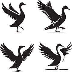 Swan and Goose Silhouette Collection - Elegant Bird Vector Set