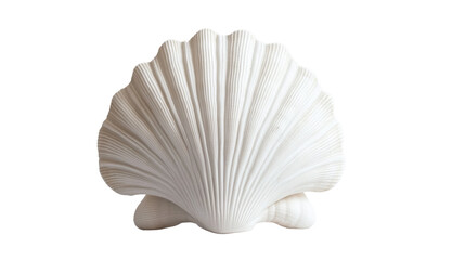 Seashell transparent background