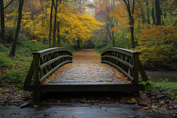 Obraz premium Wooden bridge in a serene forest setting with vibrant autumn leaves, showcasing the beauty of nature in fall. Yellow and orange foliage creates a peaceful atmosphere.