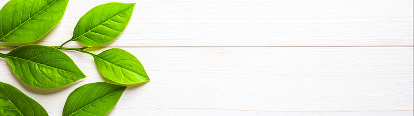 Obraz premium Fresh Green Leaves on White Wooden Background