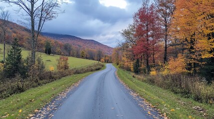 Fototapeta premium A winding paved road through a colorful autumn forest leads to a mountain range in the distance.