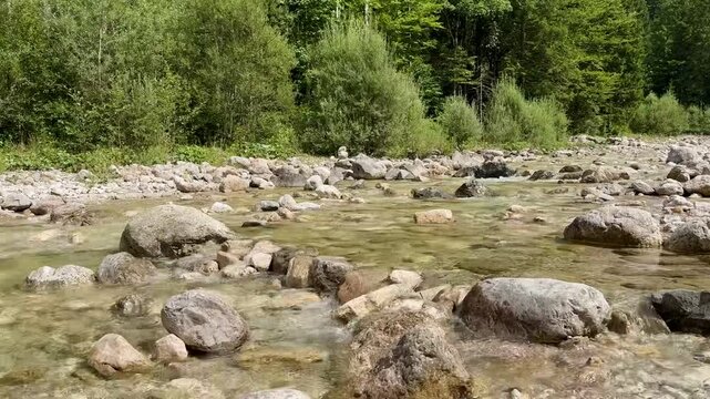 Pollat river in the forest, Germany