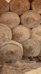 basket of straw