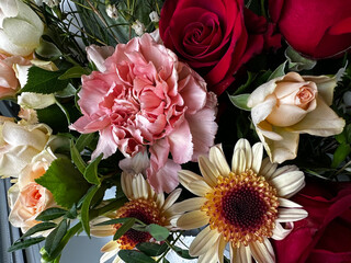 Vibrant floral bouquet featuring a mix of soft peach, cream, and red roses, a bright pink carnation, and two daisy-like blooms with rich maroon centers. Green leaves and delicate filler flowers comple