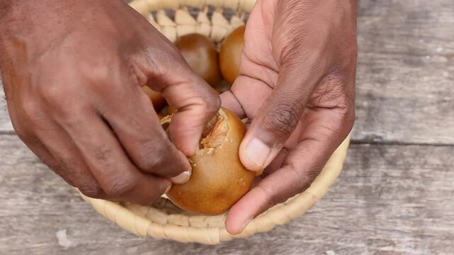 Ripe wild fruits of the African medlar tree (Vangueria infausta) locally known as mpfilwa, umviyo or umtulwa