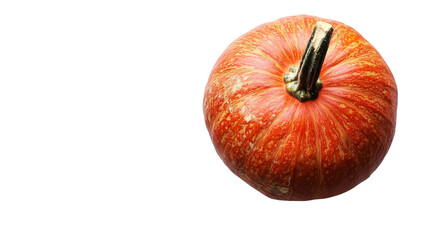 Pumpkin transparent background