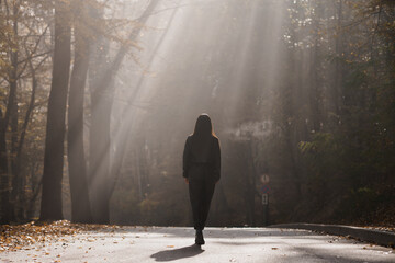 Enigmatic Solitude in a Sunlit Autumn Forest