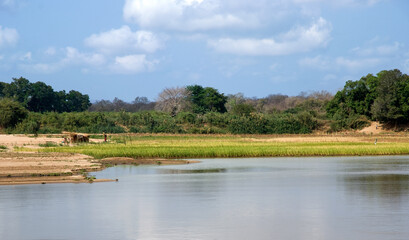 Fleuve Tsiribihina, Madagascar