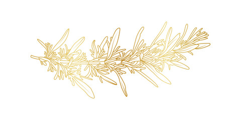 Golden Rosemary line art isolated on white background. Luxury Rosemary leaves design elements for invitation, cooking, cosmetic, wallpaper, print template, vector illustration
