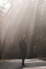 Captivating Solemnity in a Sunlit Forest Path