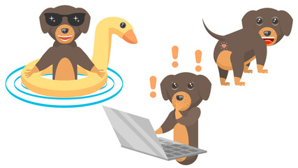 Set Abstract Collection Flat Cartoon Different Animal Dachshunds Dogs Stands With His Back, Works On A Laptop, Swims With A Duck Vector Design Style Elements Fauna Wildlife