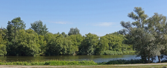 Landscape with trees above the river on a sunny summer day