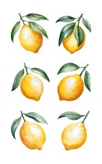 Obraz premium Six watercolor lemons with green leaves, perfect for summery designs.