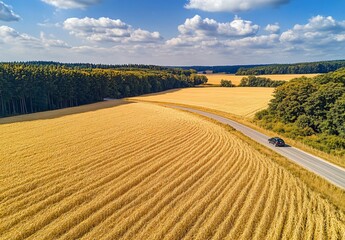 Fototapeta premium Aerial View of Car on Road Through Golden Wheat Field