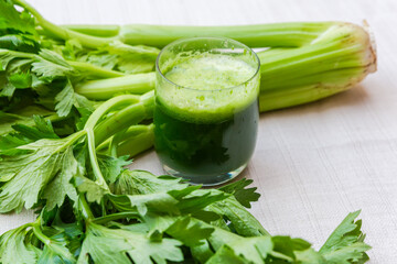 Glass of celery juice among the fresh celery stems