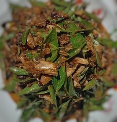 Spicy Chicken with Green Leaves and Sauce Asian Food Dish