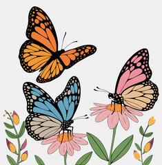 butterfly and flowers, vector illustration
