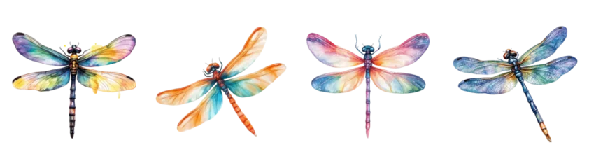 Watercolor dragonfly set png. Realistic watercolor dragonfly on transparent background. Watercolor insects. Nature and botany concept. Vector illustration.