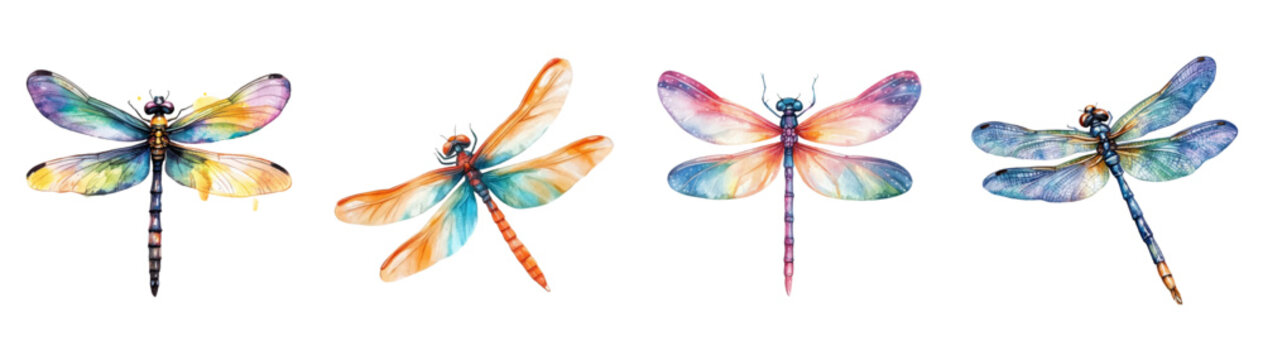 Watercolor dragonfly set png. Realistic watercolor dragonfly on transparent background. Watercolor insects. Nature and botany concept. Vector illustration.