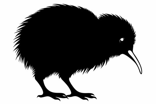 recommend clip art: kiwi bird silhouette vector animal,Stylish kiwi silhouette design - minimallest kiwi vector,Black silhouette kiwi bird icon and vector illustration.