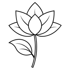 black and white flower