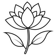 Fototapeta premium black and white flower