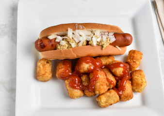 hot dog in a toasted bun  with onions and mustard