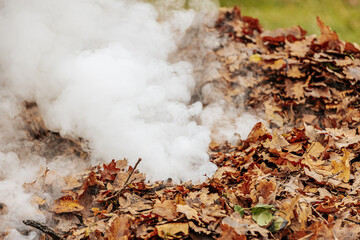 A pile of dry leaves being burned outdoors, releasing thick white smoke. The leaves are mostly...