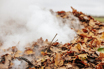 A pile of dry leaves being burned outdoors, releasing thick white smoke. The leaves are mostly brown and cover the ground, with green grass visible in the background.