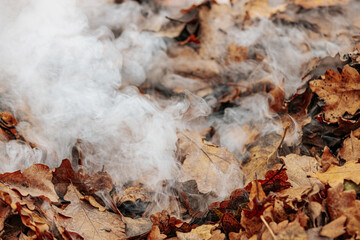 Close-up of smoke rising from a pile of dry, brown leaves in autumn. The leaves are smoldering, releasing wisps of white smoke into the air. The scene highlights seasonal yard cleanup.