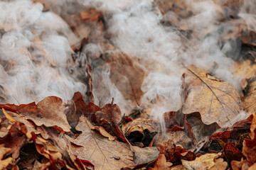 Close-up of smoke rising from a pile of dry, brown leaves in autumn. The leaves are smoldering, releasing wisps of white smoke into the air. The scene highlights seasonal yard cleanup.