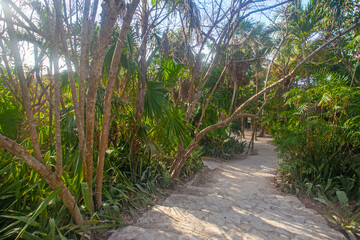 Beautiful nature taken early morning aroung Tulum ruins, Yucatan, Merxico