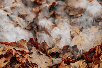 Close-up of smoke rising from a pile of dry, brown leaves in autumn. The leaves are smoldering, releasing wisps of white smoke into the air. The scene highlights seasonal yard cleanup.