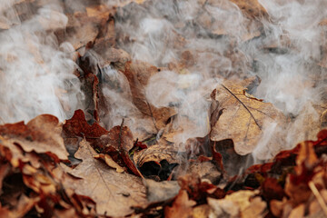 Close-up of smoke rising from a pile of dry, brown leaves in autumn. The leaves are smoldering, releasing wisps of white smoke into the air. The scene highlights seasonal yard cleanup.