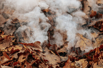 Close-up of smoke rising from a pile of dry, brown leaves in autumn. The leaves are smoldering, releasing wisps of white smoke into the air. The scene highlights seasonal yard cleanup.